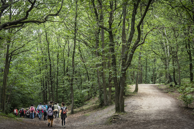 Un groupe de marcheurs dans la forêt domaniale de Fausses-Reposes