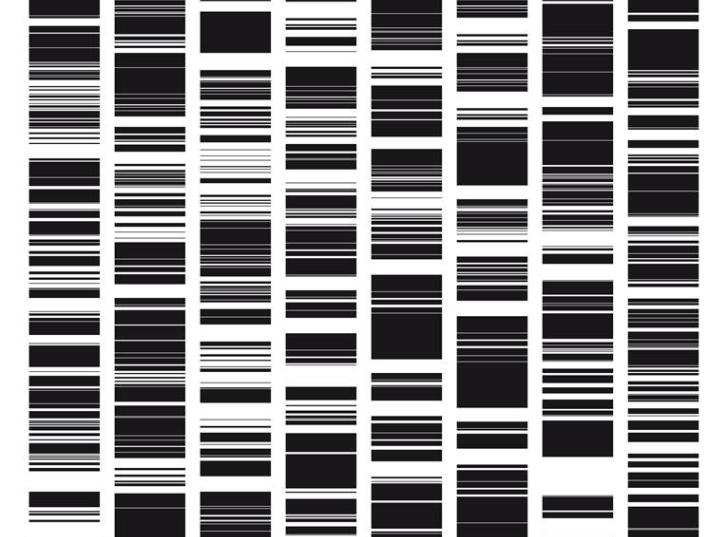 Image du travail de l’artiste Ryoji Ikeda  