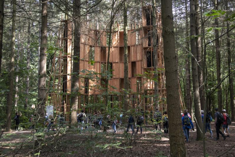 Un groupe de marcheurs devant une œuvre d’art en bois de l’artiste Feda Wardak, dans le bois de Bondy, à Clichy-sous-Bois