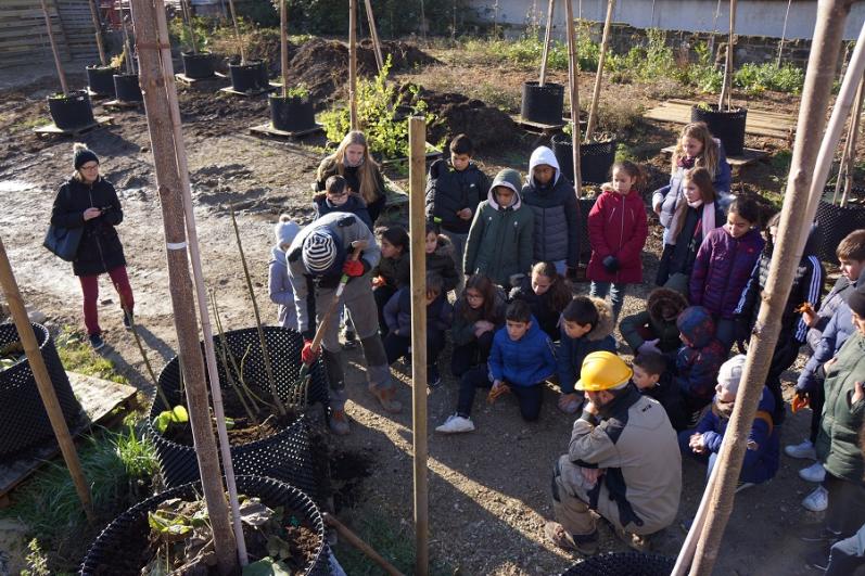 Un groupe d’enfants observe le pépiniériste Sylvain Gauffillier en train de rempoter un Paulownia dans la pépinière Vive les Groues à Nanterre